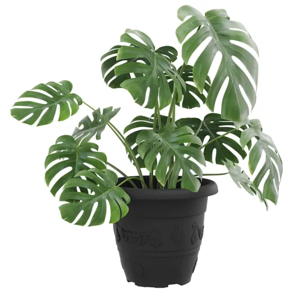 Set Ghivece Flori Plastic 24 buc | Livrare Gratuita