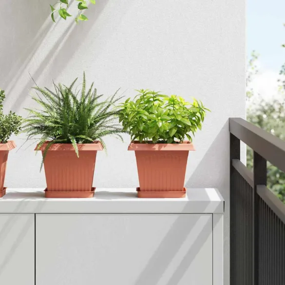 Set Ghivece Flori Pătrate Roșu Cărămidă | 24 bucăți