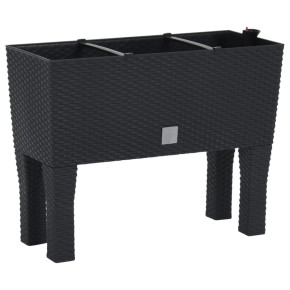 Strat Gradina Inaltat Antracit Ratan PP - 60x25x46 cm 2