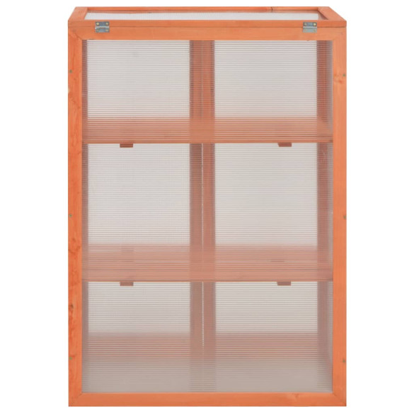 Seră lemn 75x47x109 cm - Livrare Gratuită Seră lemn 75x47x109 cm - Livrare Gratuită