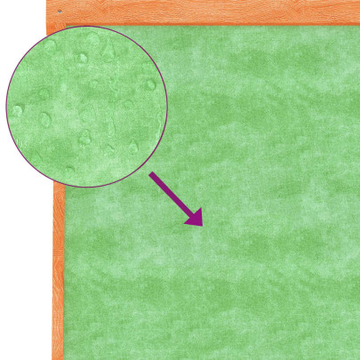 Cușcă Câini Lemn Pin Masiv 159x120x88,5 cm - Maro/Verde