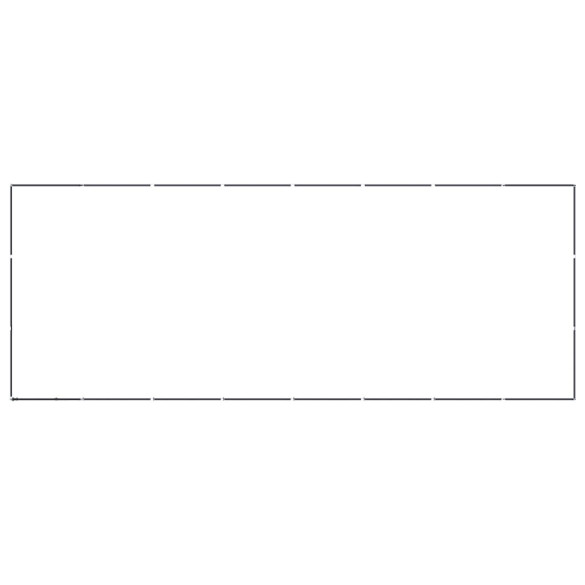 Padoc Câini Exterior 22m² - Oțel | Livrare Gratuită