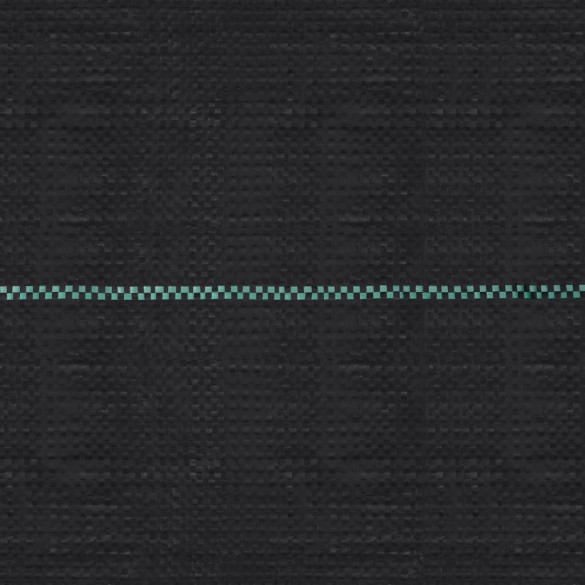 Membrană Antiburuieni Negru 2x100 m | Livrare Gratuită