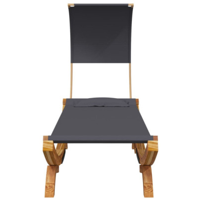 Pat Exterior cu Baldachin Antracit - Lemn Masiv 100x200 cm