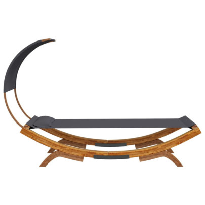 Pat Exterior cu Baldachin Antracit - Lemn Masiv 100x200 cm