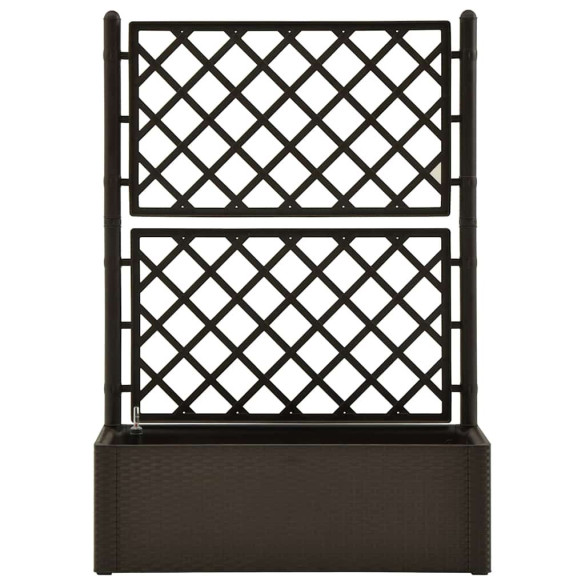 Strat Înălțat Grădină cu Spalier și Sistem Auto-Udare