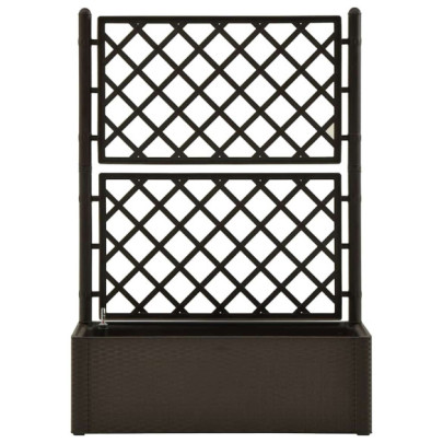 Strat Înălțat Grădină cu Spalier și Sistem Auto-Udare