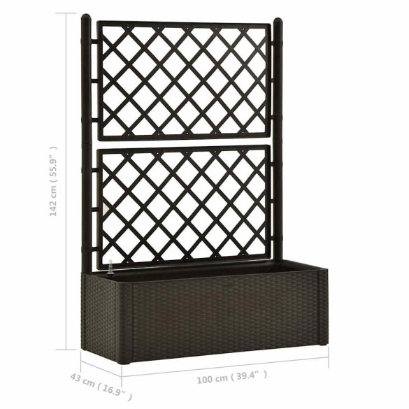 Strat Înălțat Grădină cu Spalier și Sistem Auto-Udare