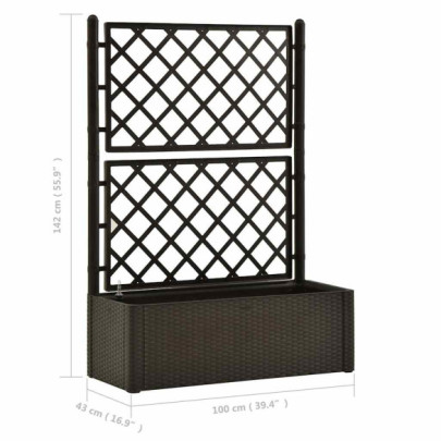 Strat Înălțat Grădină cu Spalier și Sistem Auto-Udare