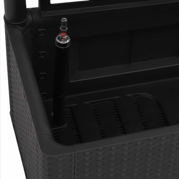 Strat Ridicat Grădină cu Spalier și Auto-udare Antracit