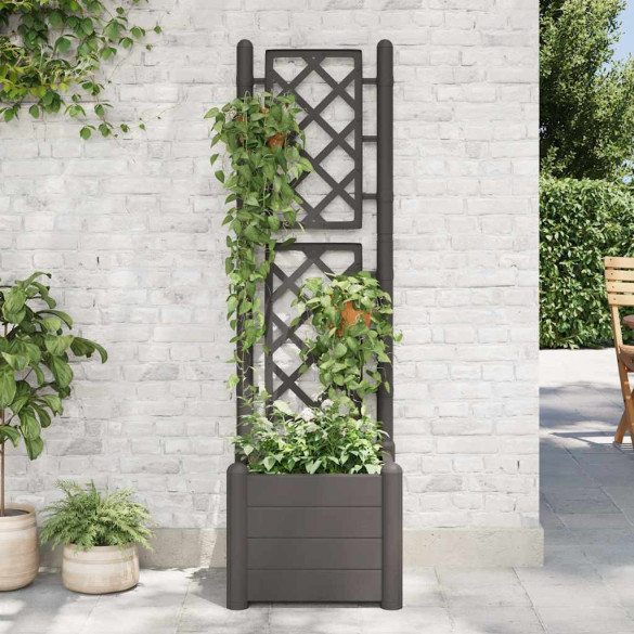 Jardinieră cu Spalier Antracit 43x43x142cm | Livrare Gratuită