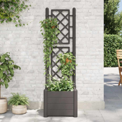 Jardinieră cu Spalier Antracit 43x43x142cm | Livrare Gratuită